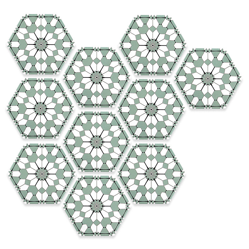 中國佛山瓷磚 China Foshan Tiles Encaustic Tiles 啞光地磚 牆磚 FL256 花磚 裝飾磚 20×23cm