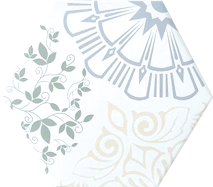 中國佛山瓷磚 China Foshan Tiles Encaustic Tiles 啞光地磚 牆磚 FL258 花磚 裝飾磚 20×23cm