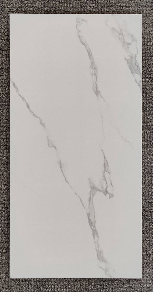 中國佛山瓷磚 China Foshan Tiles Encaustic Tiles 啞光地磚 牆磚 FL36315 花磚 裝飾磚 混裝發貨 隨機圖案 30×60cm