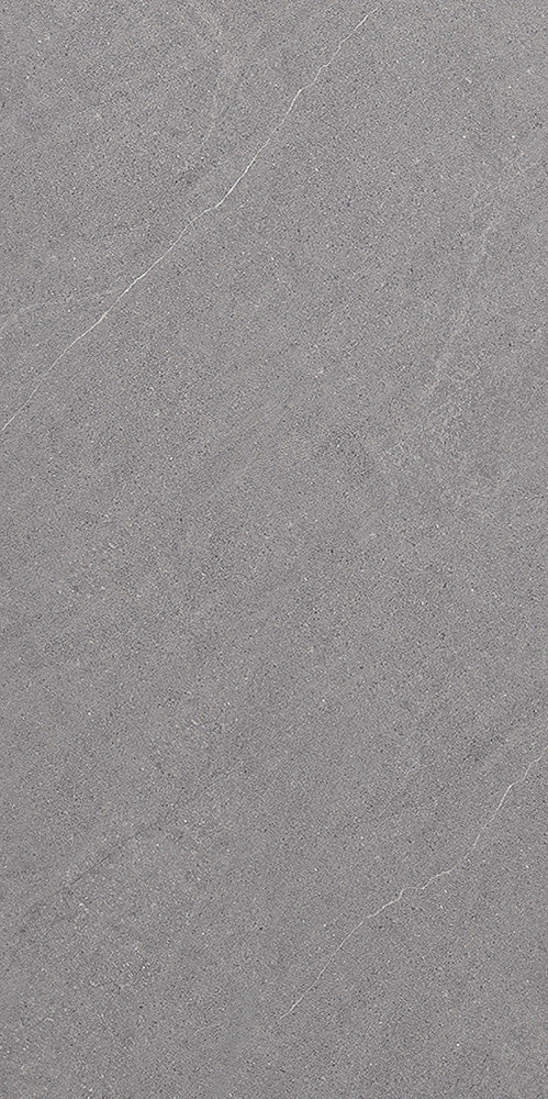 啞光磚 仿古磚 Rustic Tiles GL61274 60x120cm 砂岩面 中國佛山瓷磚 China Foshan Tiles 地磚 Floor Tiles 墻磚 Wall Tiles