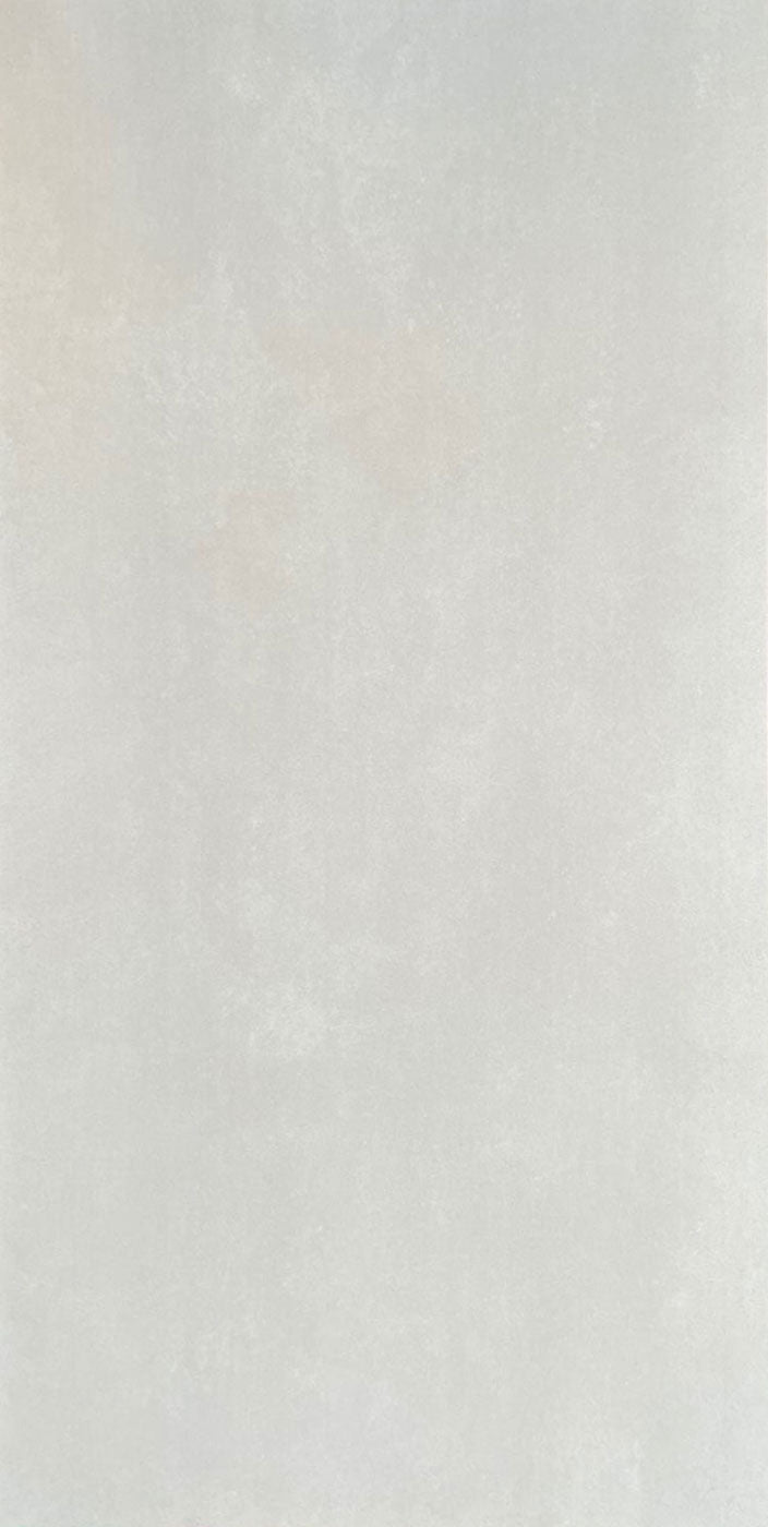 仿古磚 Rustic Tiles L61206 60x120cm 素色微水泥 中國佛山瓷磚 China Foshan Tiles 地磚 Floor Tiles 墻磚 Wall Tiles