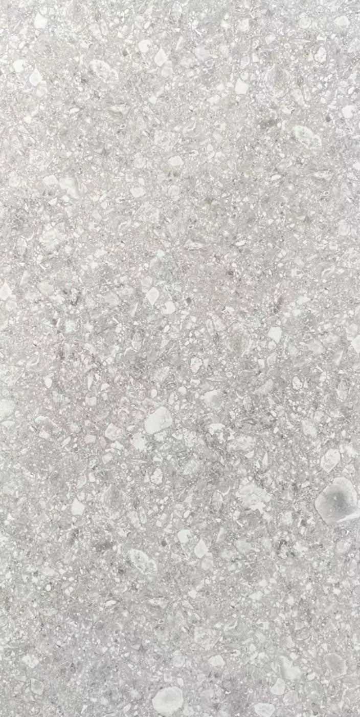 仿古磚 Rustic Tiles L61259 60x120cm 水磨石系列 中國佛山瓷磚 China Foshan Tiles 地磚 Floor Tiles 墻磚 Wall Tiles