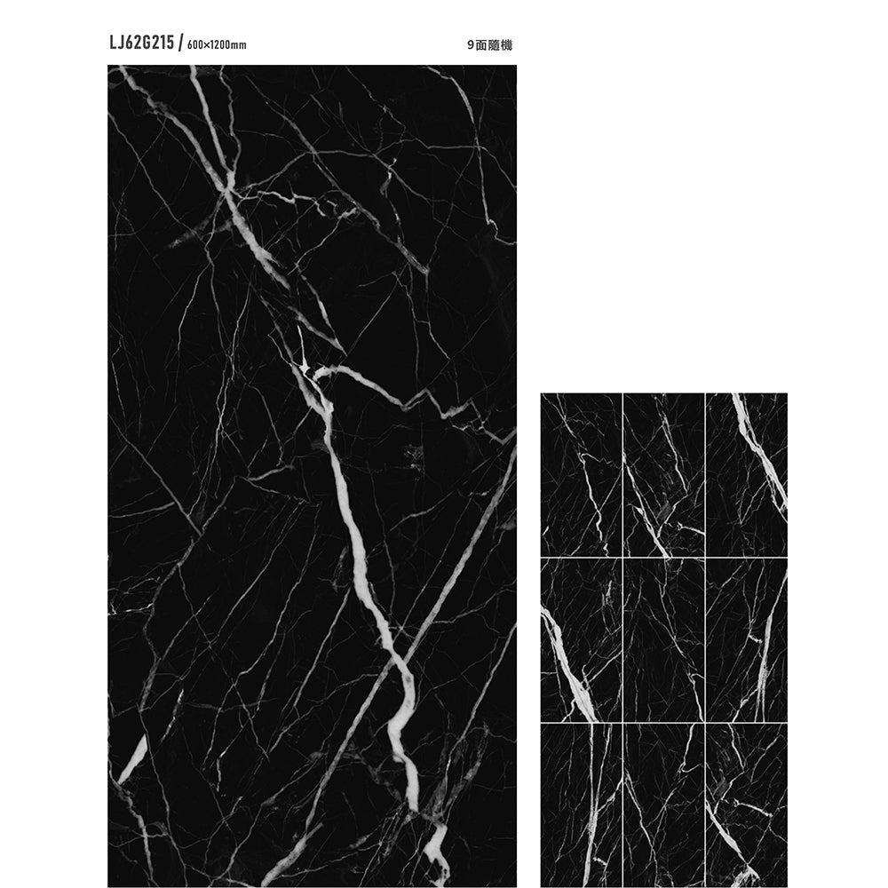 意大利設計瓷磚 Italian Design Tiles 奢石系列 LJ62G215 鹿特丹黑白根 60x120cm Luxury Marble tiles 亮光磚 Gloss Tiles 地磚 墻磚 Porcelain Tiles