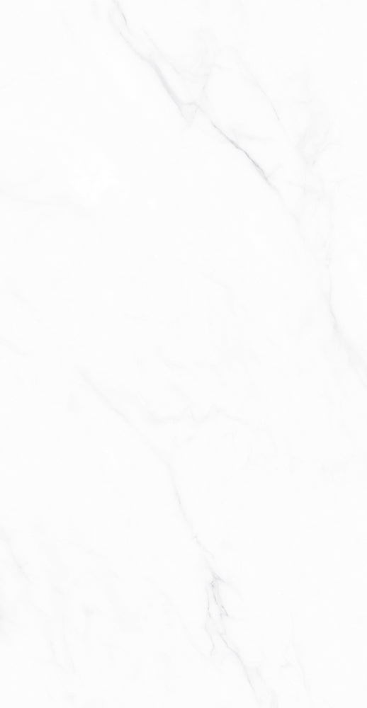 意大利設計瓷磚 Italian Design Tiles M126H820B 素色質感磚 Rustic Tiles Matte Tiles 柔光磚 Soft Matte Tiles 60×120cm 中國佛山瓷磚 China Foshan Tiles 地磚 Floor Tiles 墻磚 Wall Tiles