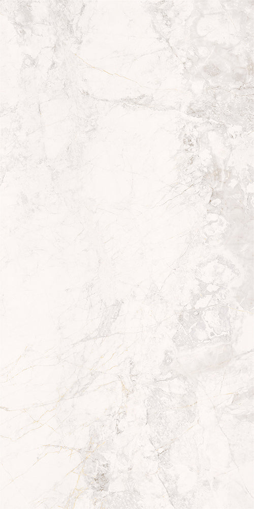 意大利設計瓷磚 Italian Design Tiles M126H917A 素色質感磚 Rustic Tiles Matte Tiles 柔光磚 Soft Matte Tiles 60×120cm 中國佛山瓷磚 China Foshan Tiles 地磚 Floor Tiles 墻磚 Wall Tiles