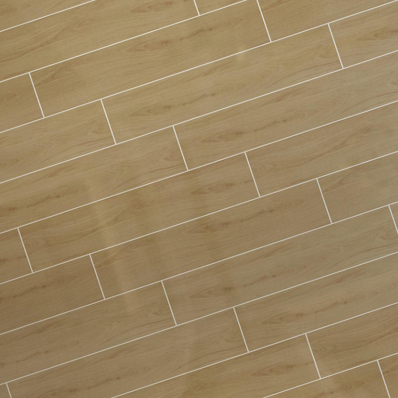 中國佛山磁磚 FOSHAN Tiles 木紋磚 Wood Grain Brick 地磚 啞光 N1012 20×100cm