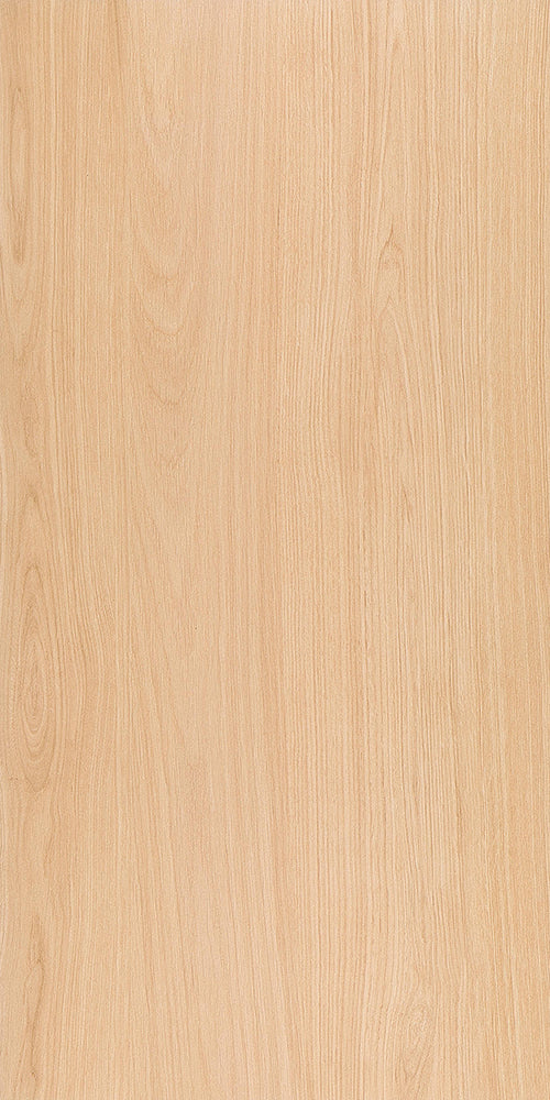 中國佛山磁磚 FOSHAN Tiles ZC12601 木紋磚 Wood Grain Brick 地磚 啞光 60×120cm