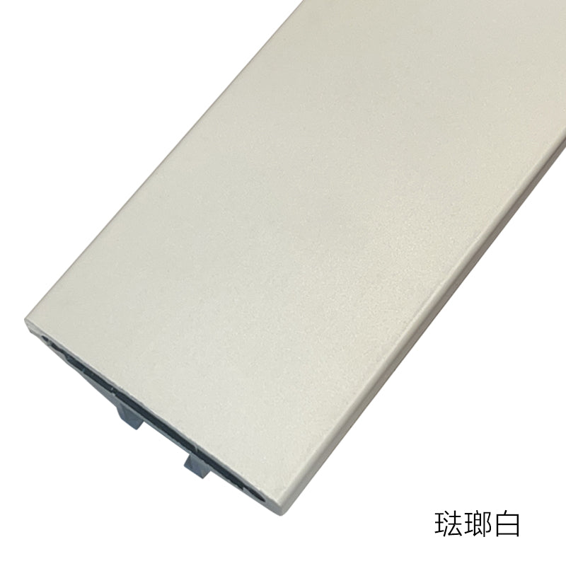 Modern Minimalist Aluminium Framed Glass Doors 現代極簡門 鋁質玻璃門 門墻一體 環保防水防潮不變形