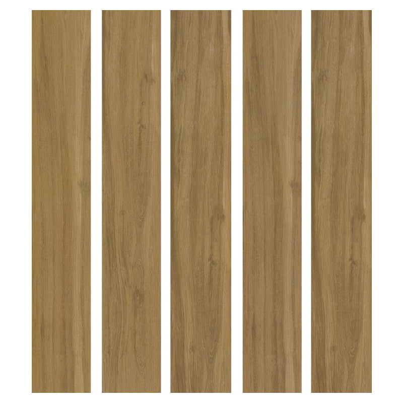 中國佛山磁磚 FOSHAN Tiles 木紋磚 Wood Grain Brick 地磚 啞光N1227 20×120cm