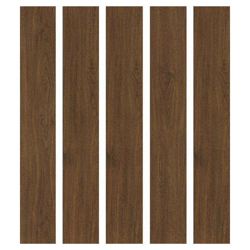 中國佛山磁磚 FOSHAN Tiles 木紋磚 Wood Grain Brick 地磚 啞光S66009 20×120cm