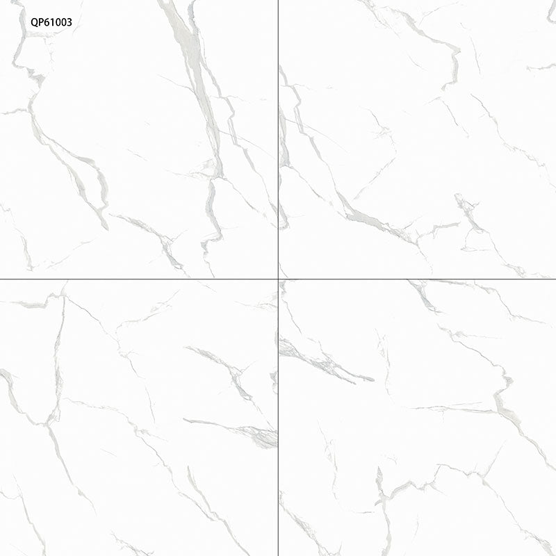 中國佛山磁磚 China Foshan Marble Tiles Glossy 大理石磁磚 連紋磁磚 地磚 牆磚 釉面磚 亮光面 冰川白 6B6121 60×60cm