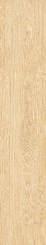 中國佛山磁磚 FOSHAN Tiles WK10209 木紋磚 Wood Grain Brick 地磚 啞光 20×100cm