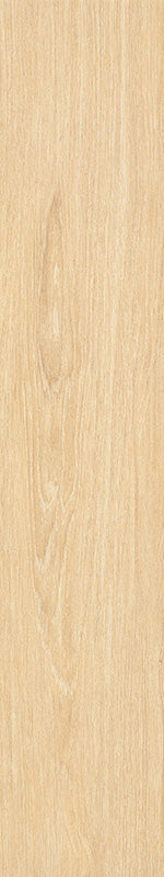 中國佛山磁磚 FOSHAN Tiles WK10209 木紋磚 Wood Grain Brick 地磚 啞光 20×100cm