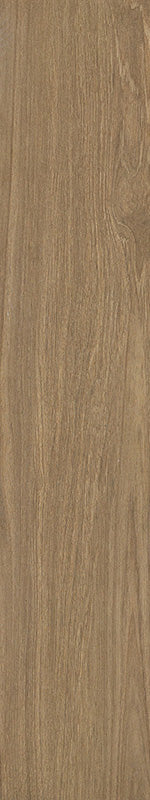 中國佛山磁磚 FOSHAN Tiles WK20113 木紋磚 Wood Grain Brick 地磚 啞光 20×100cm