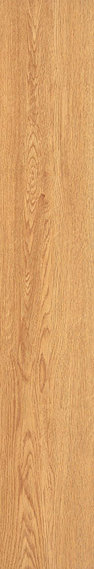 中國佛山磁磚 FOSHAN Tiles WK12230 木紋磚 Wood Grain Brick 地磚 啞光 20×120cm