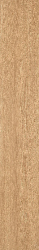 中國佛山磁磚 FOSHAN Tiles WK12223J 木紋磚 Wood Grain Brick 地磚 啞光 20×120cm