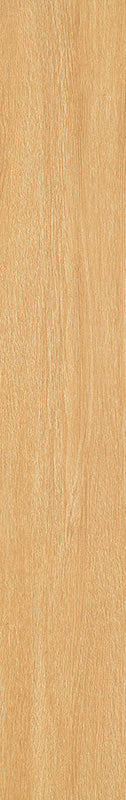 中國佛山磁磚 FOSHAN Tiles WK12226J 木紋磚 Wood Grain Brick 地磚 啞光 20×120cm