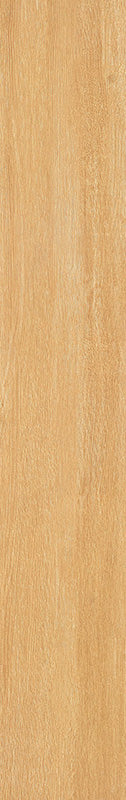 中國佛山磁磚 FOSHAN Tiles WK12226J 木紋磚 Wood Grain Brick 地磚 啞光 20×120cm