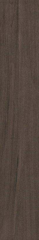 中國佛山磁磚 FOSHAN Tiles WG12267 木紋磚 Wood Grain Brick 地磚 啞光 20×120cm