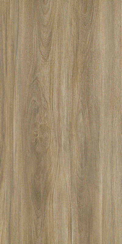 中國佛山磁磚 FOSHAN Tiles WG12663 木紋磚 Wood Grain Brick 地磚 啞光 60×120cm