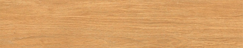 中國佛山磁磚 FOSHAN Tiles M12251 木紋磚 Wood Grain Brick 地磚 啞光 20×120cm