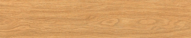 中國佛山磁磚 FOSHAN Tiles M12251 木紋磚 Wood Grain Brick 地磚 啞光 20×120cm