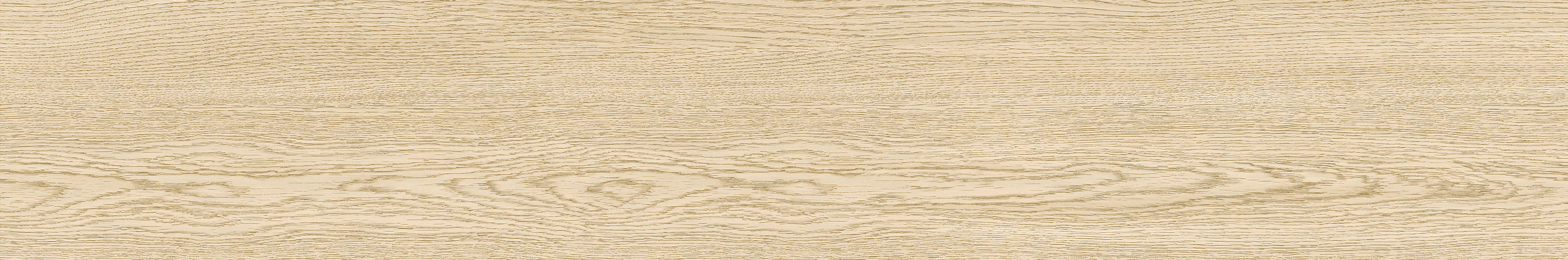 中國佛山磁磚 FOSHAN Tiles YM20161-J 木紋磚 Wood Grain Brick 地磚 啞光 20×120cm