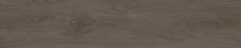 中國佛山磁磚 FOSHAN Tiles WD2166 木紋磚 Wood Grain Brick 地磚 啞光 20×100cm