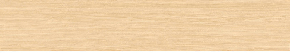 中國佛山磁磚 FOSHAN Tiles WD2171 木紋磚 Wood Grain Brick 地磚 啞光 20×100cm