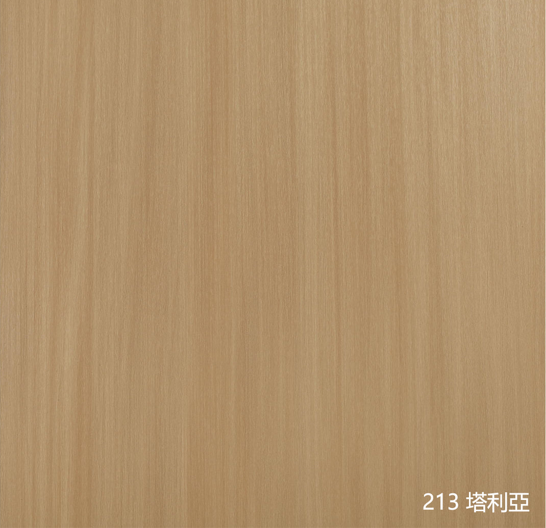 幽靈門 趟門 GHOST Sliding Door Modern Minimalist Aluminium Framed Door 鋁木門 現代極簡門 掛壁式趟門 極窄邊框 多色可選