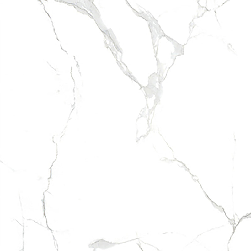 中國佛山磁磚 China Foshan Marble Tiles Glossy 大理石磁磚 連紋磁磚 地磚 牆磚 釉面磚 亮光面 B6252 60×60cm