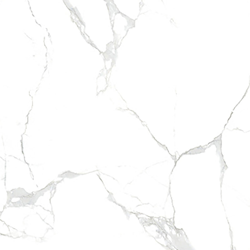 中國佛山磁磚 China Foshan Marble Tiles Glossy 大理石磁磚 連紋磁磚 地磚 牆磚 釉面磚 亮光面 B6252 60×60cm