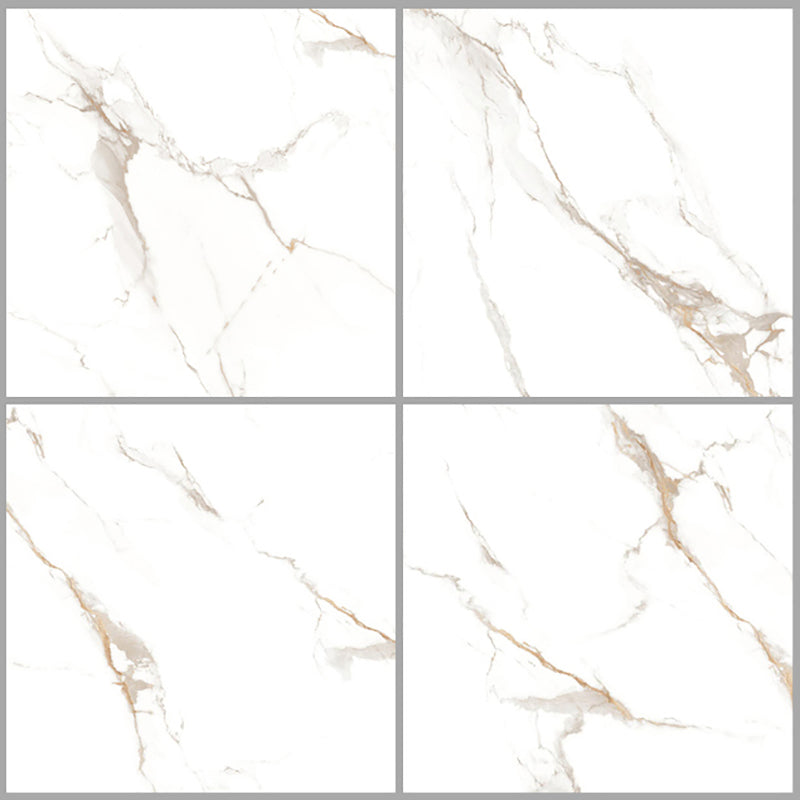 中國佛山磁磚 China Foshan Marble Tiles Glossy 大理石磁磚 連紋磁磚 地磚 牆磚 釉面磚 亮光面 B6A1190 60×60cm