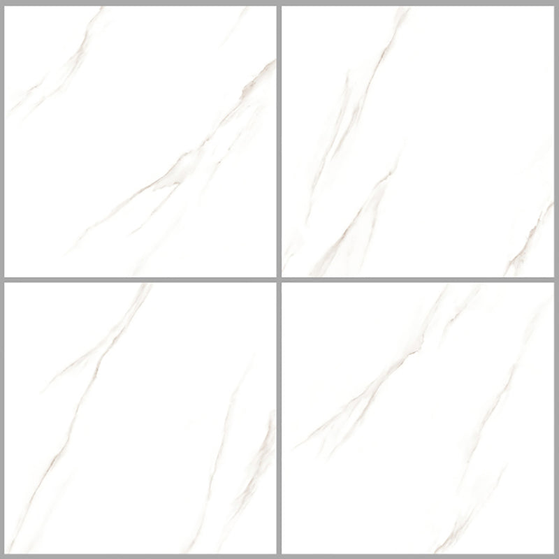 中國佛山磁磚 China Foshan Marble Tiles Glossy 大理石磁磚 連紋磁磚 地磚 牆磚 釉面磚 亮光面 B6A1192 60×60cm