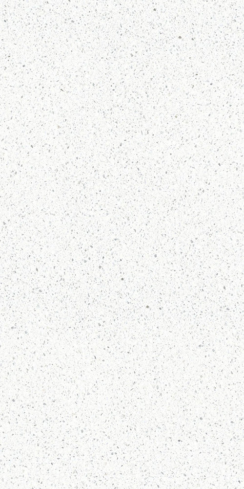 意大利設計瓷磚  FCT612101L  Italian Design Tiles 60x120cm Terrazzo Tiles 水磨石 Rustic Tiles Matte Tiles 仿古磚 啞光磚 中國佛山瓷磚 China Foshan Tiles 地磚 Floor Tiles 墻磚 Wall Tiles