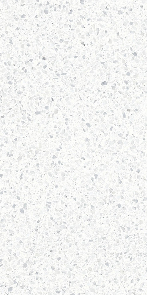 意大利設計瓷磚  FCT612102L  Italian Design Tiles 60x120cm Terrazzo Tiles 水磨石 Rustic Tiles Matte Tiles 仿古磚 啞光磚 中國佛山瓷磚 China Foshan Tiles 地磚 Floor Tiles 墻磚 Wall Tiles