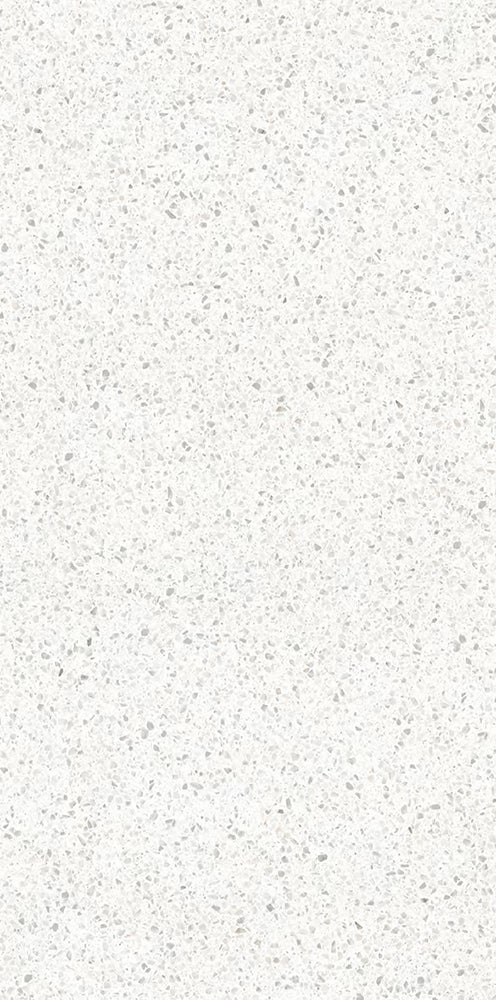 意大利設計瓷磚  FCT612109L  Italian Design Tiles 60x120cm Terrazzo Tiles 水磨石 Rustic Tiles Matte Tiles 仿古磚 啞光磚 中國佛山瓷磚 China Foshan Tiles 地磚 Floor Tiles 墻磚 Wall Tiles