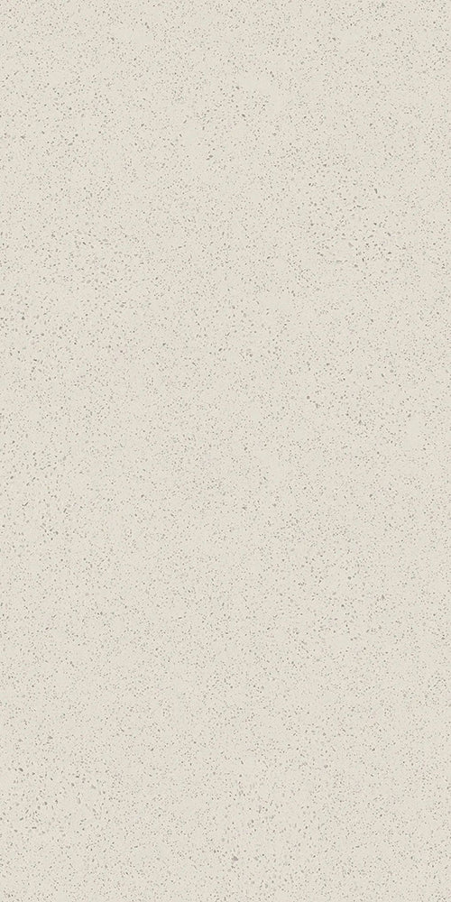 意大利設計瓷磚  FMT612202L  Italian Design Tiles 60x120cm Terrazzo Tiles 水磨石 Rustic Tiles Matte Tiles 仿古磚 啞光磚 中國佛山瓷磚 China Foshan Tiles 地磚 Floor Tiles 墻磚 Wall Tiles