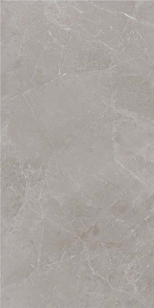 意大利設計瓷磚 Italian Design Tiles FP62705 Rustic Tiles Matte Tiles 仿古磚 啞光磚 60x120cm中國佛山瓷磚 China Foshan Tiles 地磚 Floor Tiles 墻磚 Wall Tiles