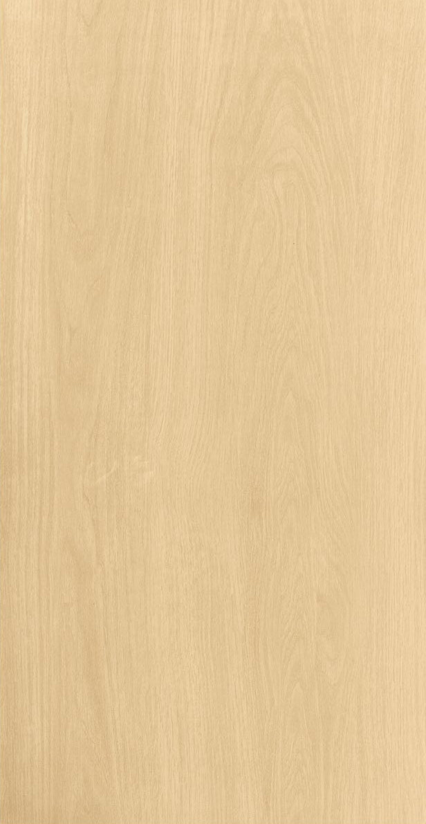 中國佛山磁磚 FOSHAN Tiles G61223 木紋磚 Wood Grain Brick 地磚 啞光 60×120cm