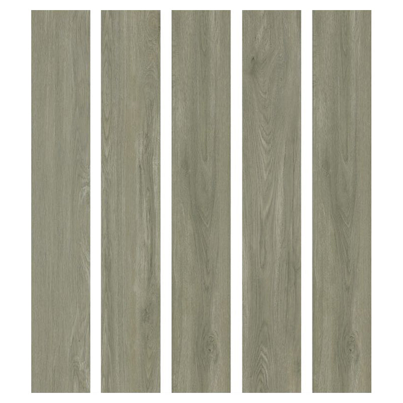 中國佛山磁磚 FOSHAN Tiles 木紋磚 Wood Grain Brick 地磚 啞光S66005 20×120cm